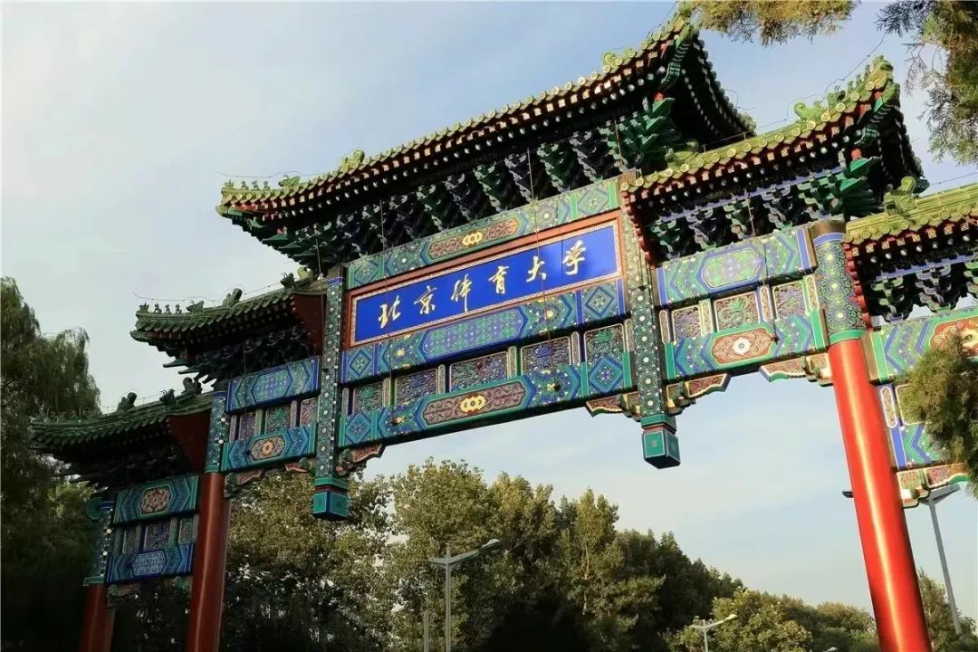如何根据体型制定个性化的篮球训练方案_1